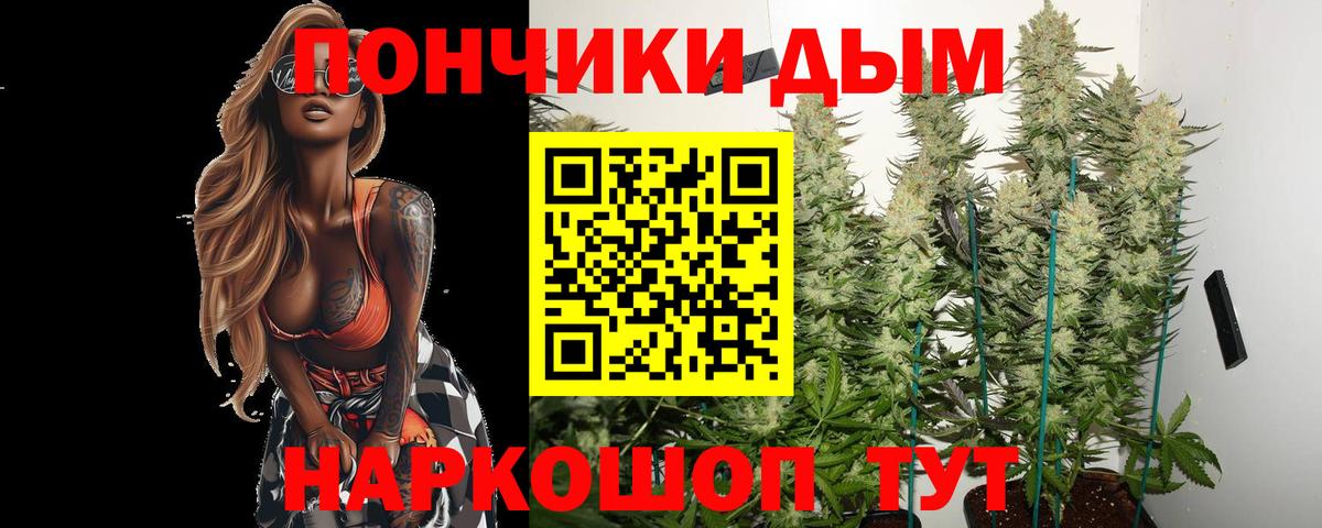 Шишки марихуана марихуана Донецк